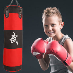 Boxing Bag for Home