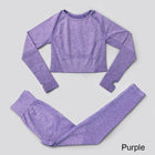 Elastic Seamless Yoga Set for Women - Blue Force Sports