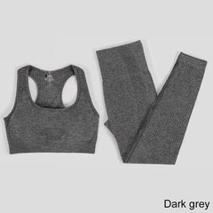 Elastic Seamless Yoga Set for Women - Blue Force Sports