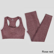 Elastic Seamless Yoga Set for Women - Blue Force Sports