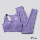Elastic Seamless Yoga Set for Women - Blue Force Sports
