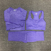 Women's Seamless Fitness Clothing Set - Blue Force Sports