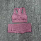 Women's Seamless Fitness Clothing Set - Blue Force Sports
