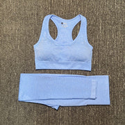 Women's Seamless Fitness Clothing Set - Blue Force Sports