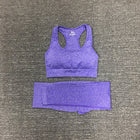 Women's Seamless Fitness Clothing Set - Blue Force Sports