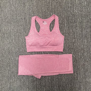 Women's Seamless Fitness Clothing Set - Blue Force Sports