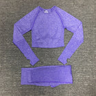 Women's Seamless Fitness Clothing Set - Blue Force Sports