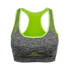 Woman's Padded Push Up Sports Bra - Blue Force Sports