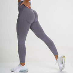 Curve Contour Seamless Leggings for Women - Blue Force Sports