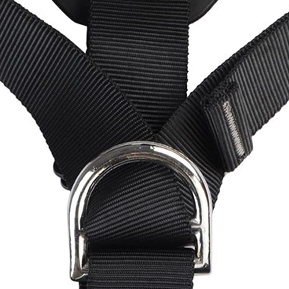 Professional Rock Climbing Body Belt - Blue Force Sports