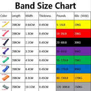 Basic Resistance Bands - Blue Force Sports