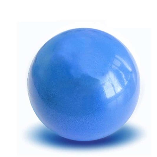 Balance Training Mini Yoga Balls - Blue Force Sports
