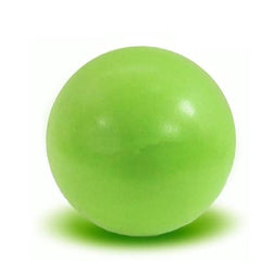 Balance Training Mini Yoga Balls