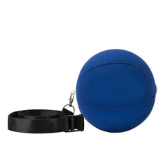 Golf Swing Trainer Ball with Smart Inflator - Blue Force Sports